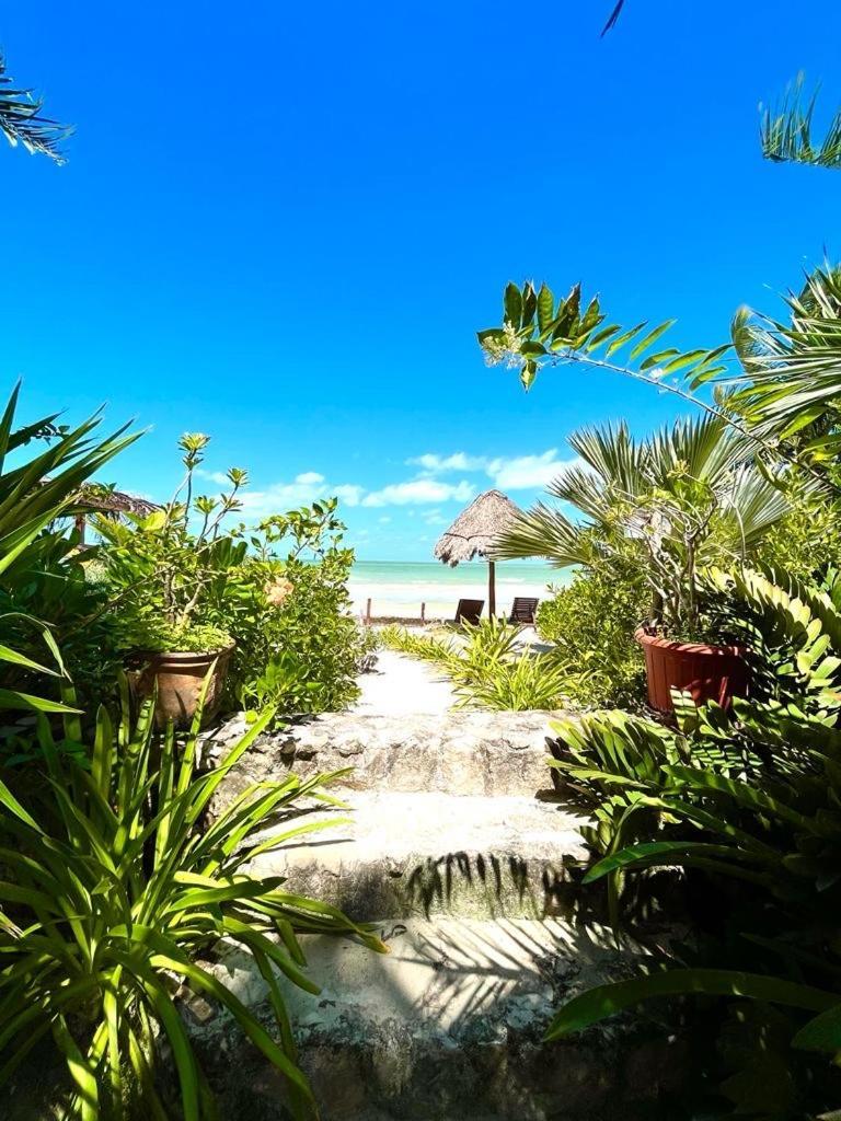 Bed and Breakfast Casa Tom Tom - Adults Only Isla Holbox Екстер'єр фото